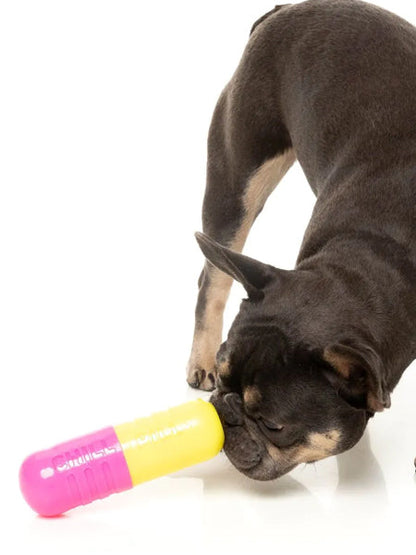 Jouet à mâcher pour chien