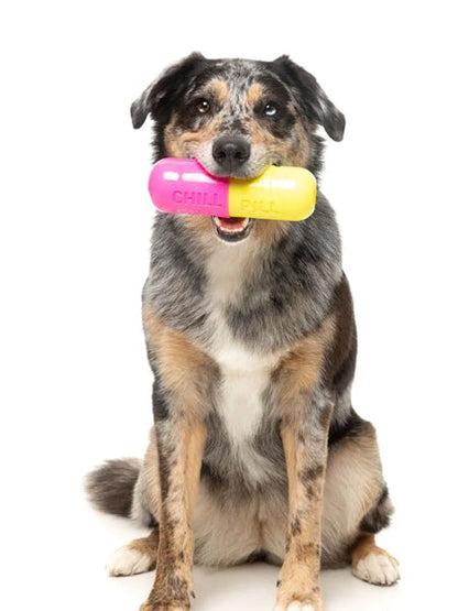 Jouet à mâcher pour chien