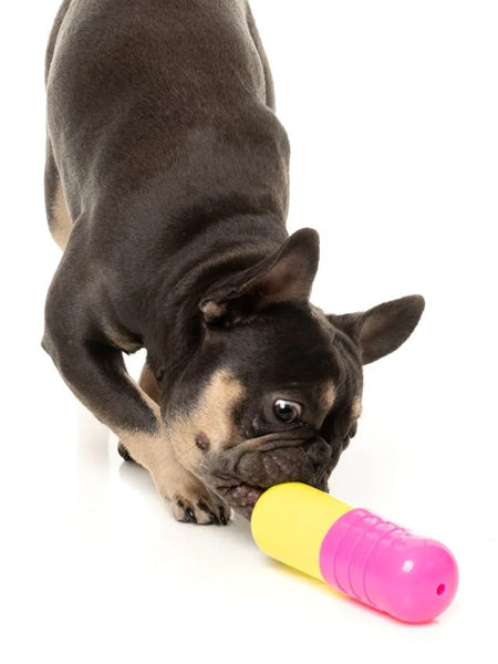 Jouet à mâcher pour chien