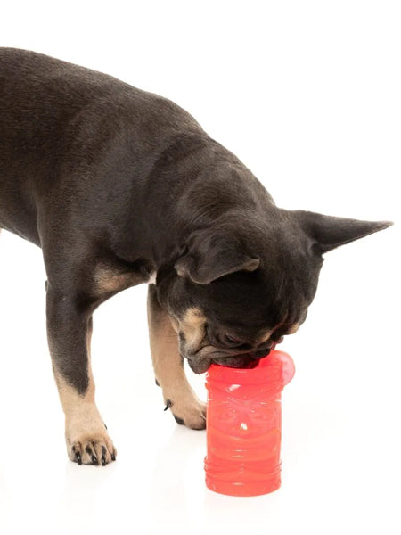 Jouet à remplir pour chien