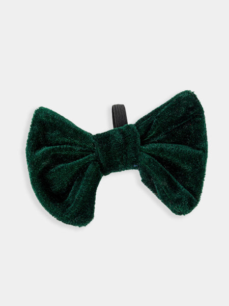 Nœud papillon pour chien