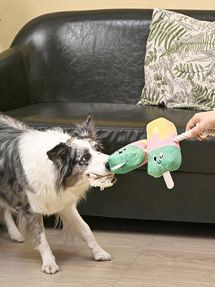 Peluche pour chien avec corde