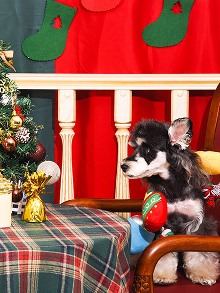 Jouet en peluche et corde - Guirlande de Noël 🎄 - HugSmart