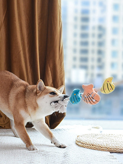 Jouet en peluche et corde