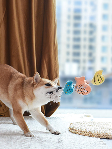 Jouet en peluche et corde - Beach Daze Coquillage 🐚 - HugSmart