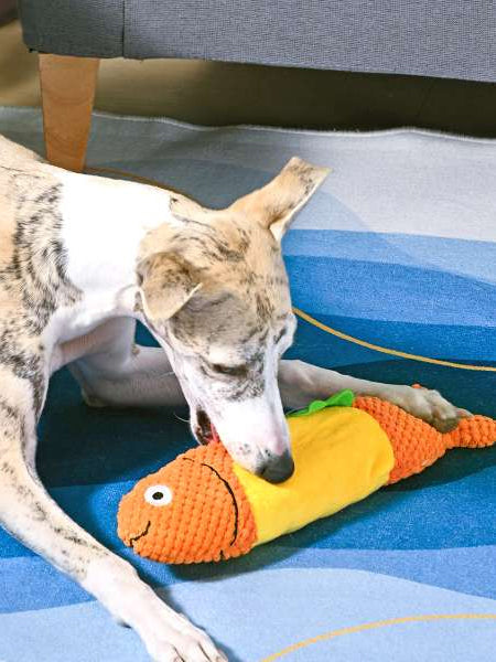 Jouet en peluche pour chien - Shaky Fish Taco 🐟🌮 - HugSmart