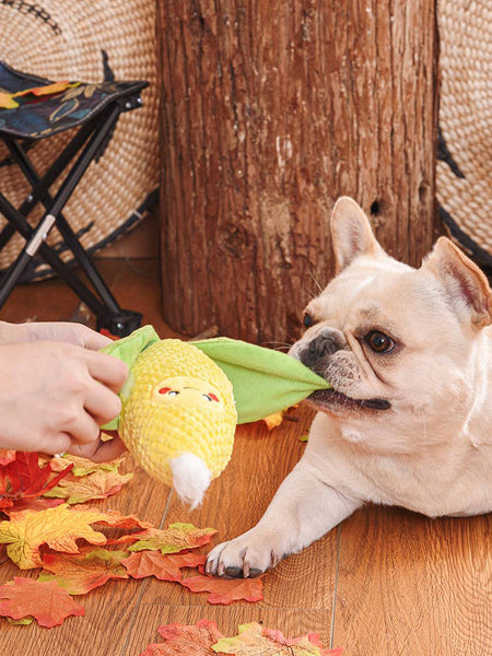 Jouet en peluche pour chien - Mais 🌽 - HugSmart