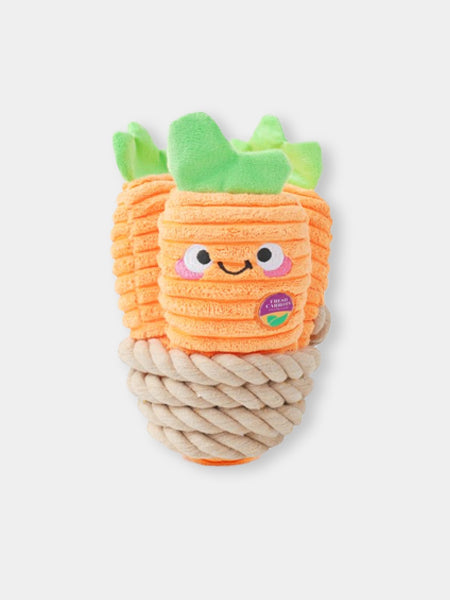 Jouet en peluche pour chien avec corde