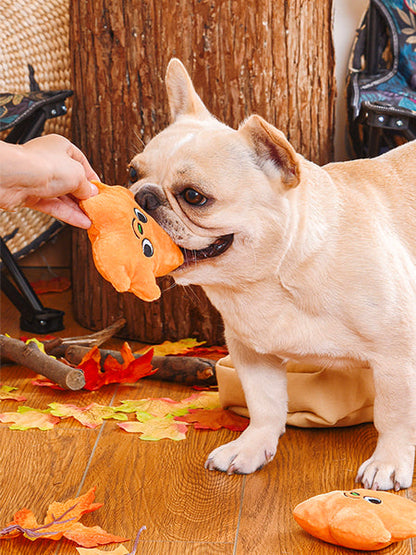 Jouet interactif pour chien