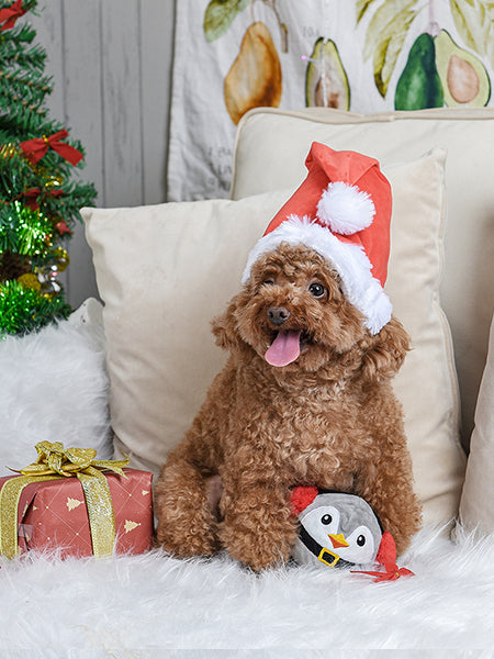 Balle en peluche pour chien - Pingouin de Noël 🐧 - HugSmart