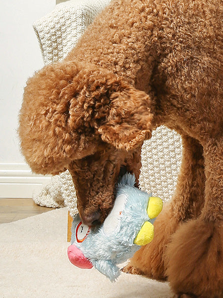 Peluche en corde pour chien