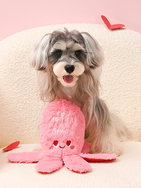 Peluche pour chien