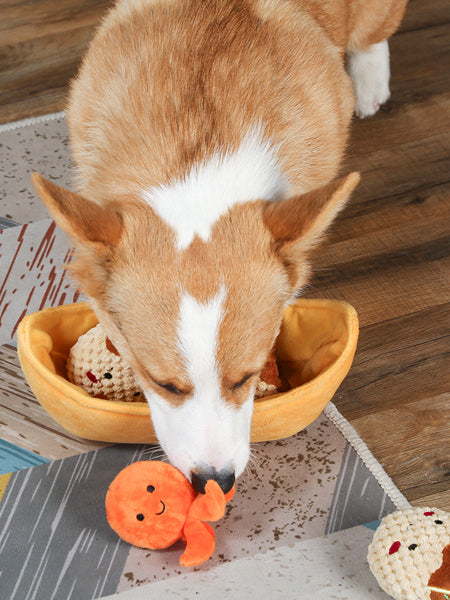 Jouet interactif pour chien