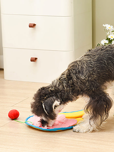 Tapis de fouille pour chien et chat