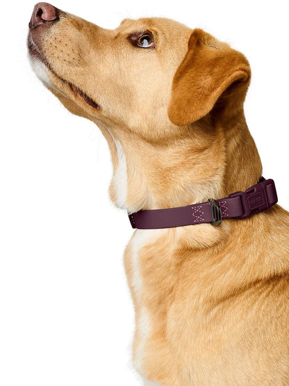 Collier pour chien imperméable et résistant - Havana mûre - Hunter