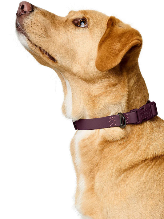 Collier pour chien imperméable et résistant - Havana mûre - Hunter