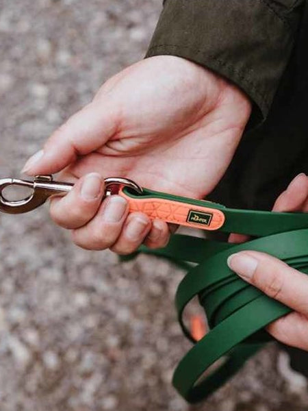 Longe convenience 5m pour chien - Vert Forêt - Hunter