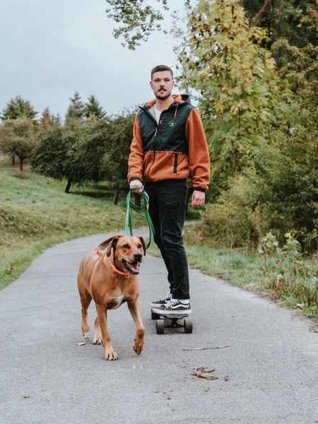 Longe convenience 5m pour chien - Vert Forêt - Hunter