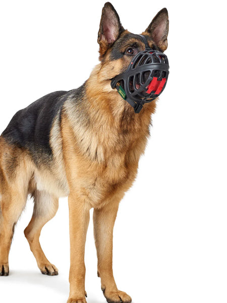 Muselière pour chien - Albury - Hunter