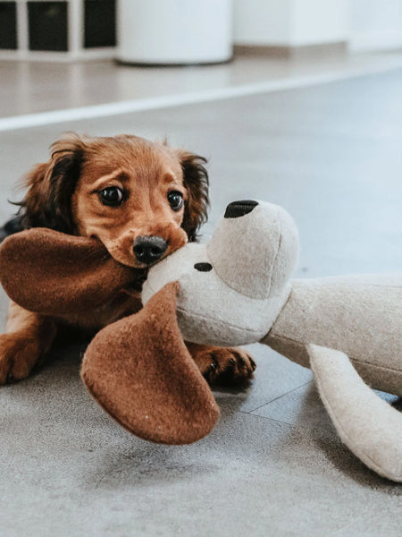 Peluche pour chien sans couineur - Chien 🐶 - Hunter