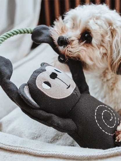 Peluche pour chien avec corde - Singe 🐒 - Hunter