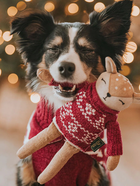 Peluche pour chien - Birka Rennes - Hunter