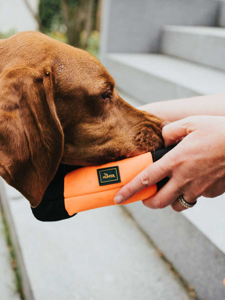 Dummy pour chien sac d'éducation - Orange - Hunter