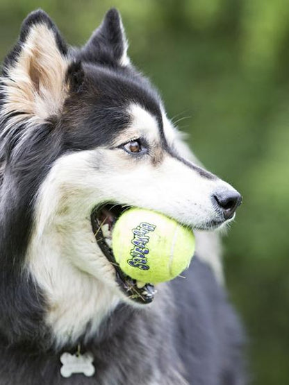 3 Balles de tennis Kong SqueakAir pour chien