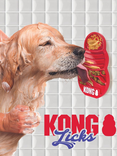 Tapis de léchage pour chien