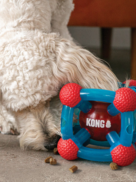 Jouet distributeur de friandises pour chien