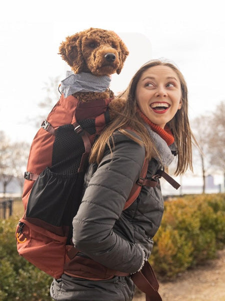 Sac de transport pour grand chien