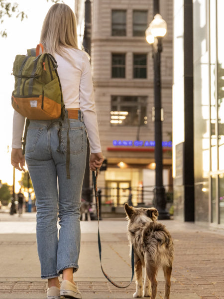 Sac à dos pour transporter son chien - Urban 3 Kaki - K9 Sport Sack