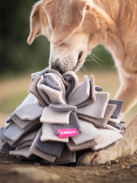 Tapis de fouille pour chien - Sniffing Ball - Gris chiné