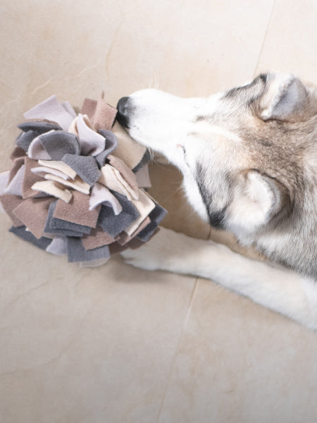 Tapis de fouille pour chien - Sniffing Ball - Gris chiné