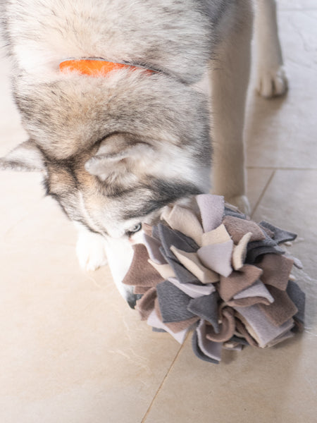 Tapis de fouille pour chien - Sniffing Ball - Gris chiné
