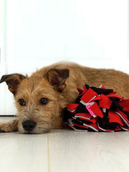 Tapis de fouille pour chien