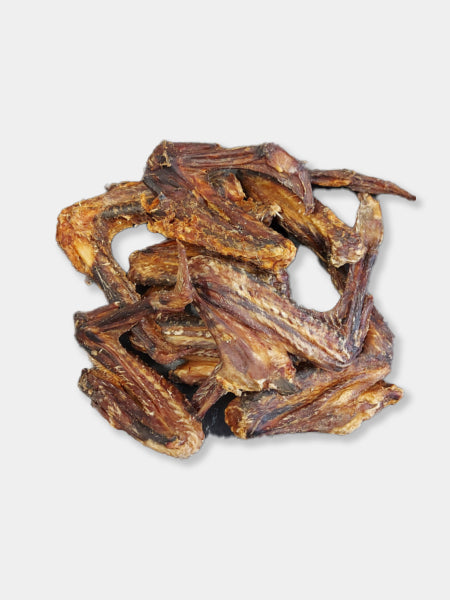 Ailes de Dinde à mâcher pour chien - Kivo Pet food