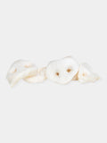 Groins de porc pour chien