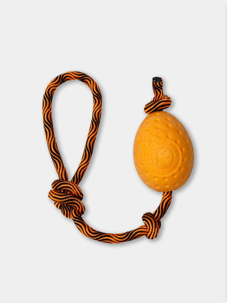 Jouet pour chien haute densité avec corde - Egg (2 coloris disponible)