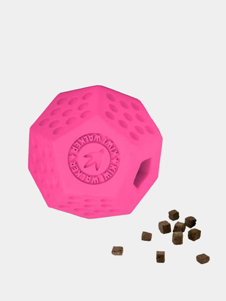 Jouet occupation pour chien - Dodecaball Rose - Kiwi Walker