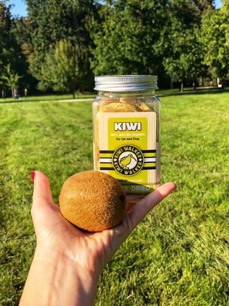Friandises naturelles pour chien et chat - Kiwi - Kiwi Walker
