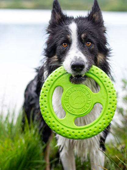 Frisbee pour chien mousse haute densité - Orange - Kiwi Walker