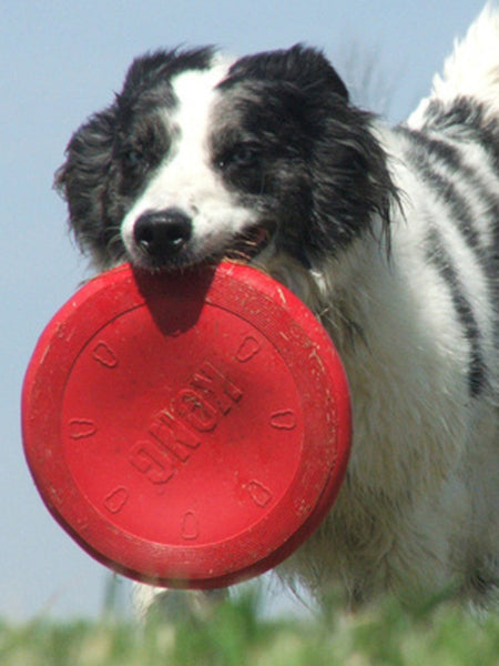 Frisbee pour chien - KONG® Flyer Classic - Taille L