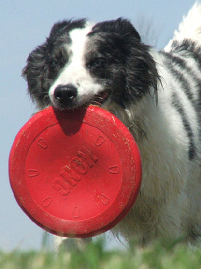 Frisbee pour chien - KONG® Flyer Classic - Taille L