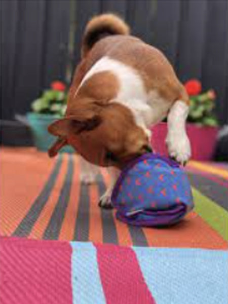 Jouet distributeur de friandises pour chien - KONG Ballistic Hide 'n Treat (M)
