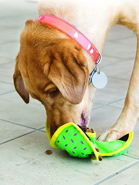 Jouet distributeur de friandises pour chien