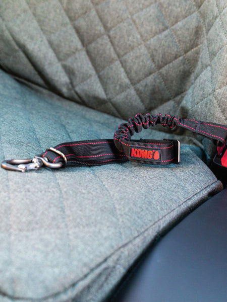Ceinture de sécurité pour chien - Kong