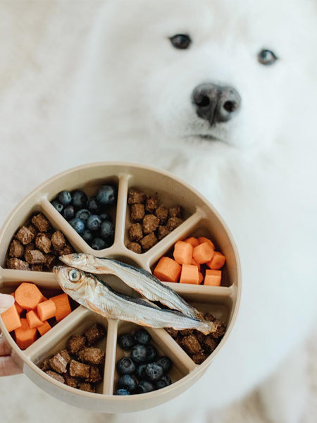 Gamelle d'enrichissement pour chien - Bento 3-en-1 - Dunes - Lambwolf