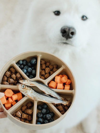 Gamelle d'enrichissement pour chien - Bento 3-en-1 - Dunes - Lambwolf