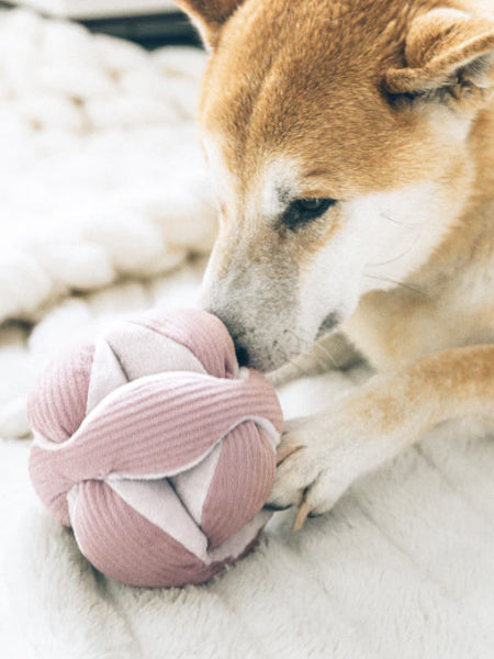 Jouet interactif pour chien - Monti - Rose